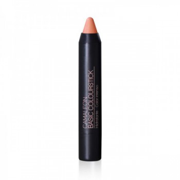 Camaleon basic colourstick metalic color Arena pintalabios