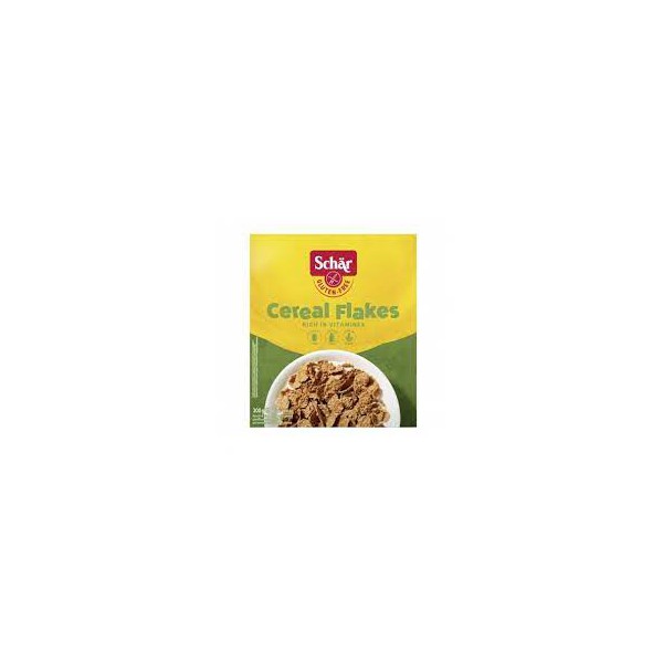 Corn Flakes de cereales 300gr