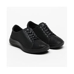 A´RCOPEDICO DAINTREE 2