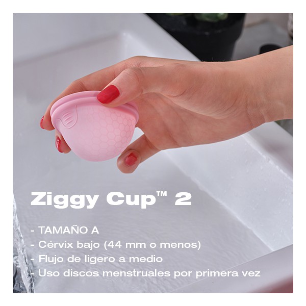 COPA MENSTRUAL ZIGGY CUP 2 INTIMINA 1...