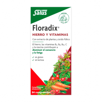 SALUS FLORADIX HIERRO 84 COMP