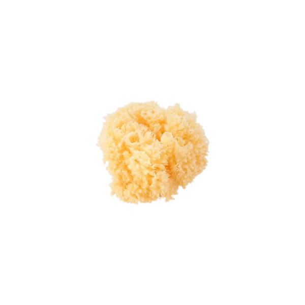 Esponja natural Saro