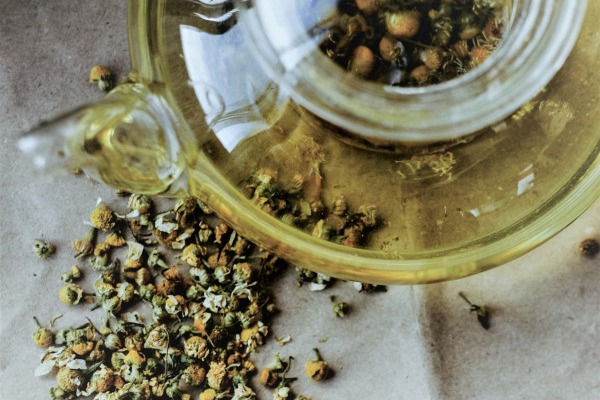 Plantas medicinales para cuidar tu SALUD digestiva