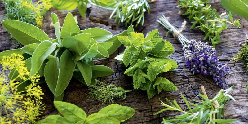 COSMÉTICA NATURAL CON PLANTAS MEDICINALES