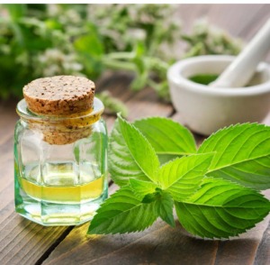 ¿Que son los aceites esenciales?