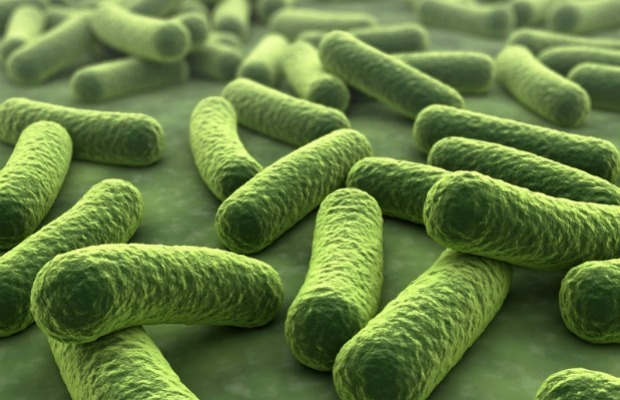 ¿ Que es la microbiota ?