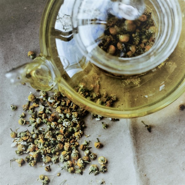 Plantas medicinales para cuidar tu SALUD digestiva