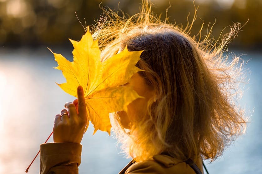 ¿Por qué se cae el pelo en otoño?